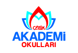 tekirdağçözüm akademi okulları